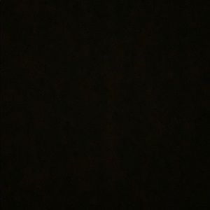 Meet your Posher, Isabelle